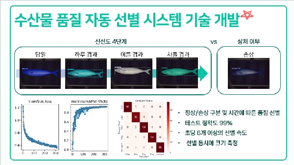 수산물 품질 자동 선별 시스템 기술 개발 대표이미지