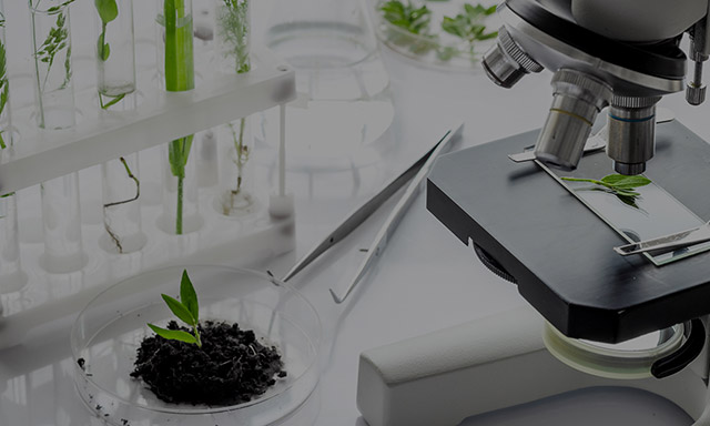 글로벌스포츠매니지먼트전공