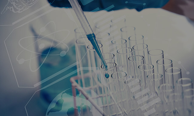 글로벌스포츠매니지먼트전공